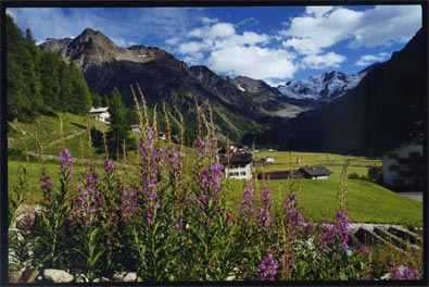 Solda Valley